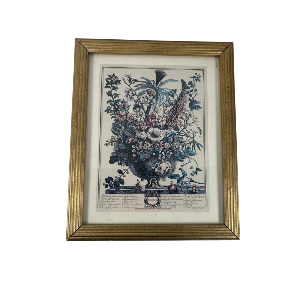 Unbranded Botanical Art‎ Print Set Home 8x10 Gold Excellent Floral October Dec